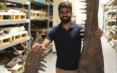 Paleontologist